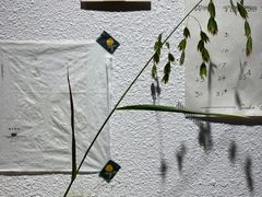 -Ginko银子(青龙街店)