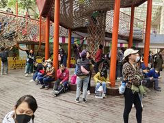 -中国福利会少年宫