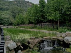 -白水寺森林公园
