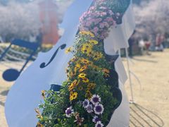 -苏州上方山国家森林公园