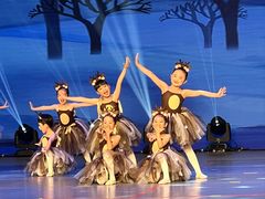 -舞蕾舞蹈(特长生校区)