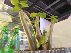 -安吉汽车生活馆(大宁中心广场C3栋店)