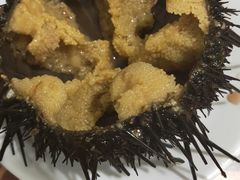 生海胆-海胆小馆(东北水饺·春柳店)