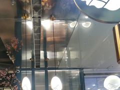 -老板恋上鱼(振华商厦店)