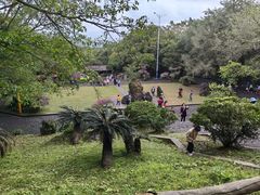 -海口火山口国家地质公园