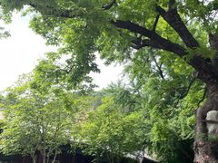 -潭柘寺景区