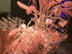 -INLOVE KTV(文一店)