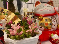 -soulfa柠檬茶(鹭江店)