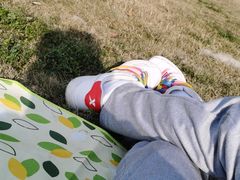 -两河城市森林公园