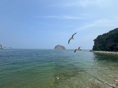 -棒棰岛宾馆景区