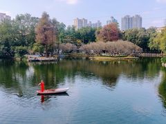 -晓港公园