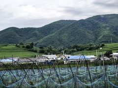 -图们国门景区