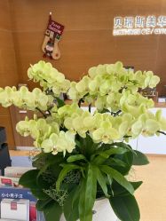 点击看大图 -杭州贝瑞斯美华妇儿医院·早孕·产检·儿科