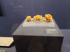 -温州博物馆