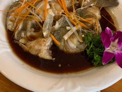 -鹤乡东北菜(崮山路店)