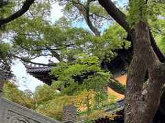 -普陀山风景名胜区-千步大沙