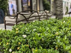 -比斯特上海购物村精品奥特莱斯