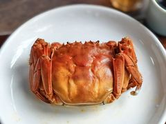 -蟹村草堂·苏式园林人文农家·大闸蟹