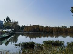 -白鹭湾湿地公园