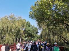 -上海滨江森林公园·停车场