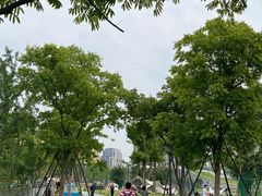 -杭州城北体育公园