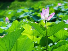 -宜兴龙背山森林公园
