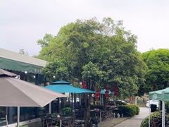 -听风阁农家私房菜茶楼(龙坞店)