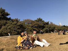 -八大关景区