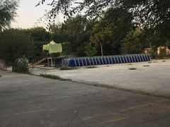 -宠物寄养训练学校