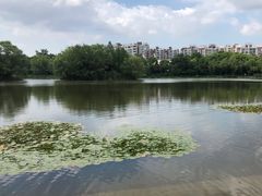-新江湾城公园
