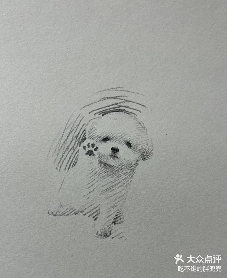 1月28日 13:52 关注 简单几笔速写出可爱的小比熊 「未来画室」简单几