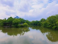 -上海吴淞炮台湾国家湿地公园