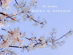 -汉梁文化公园