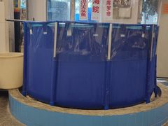 -大嫂镬仔·焖鸡煲·啫啫煲(逢源路店)