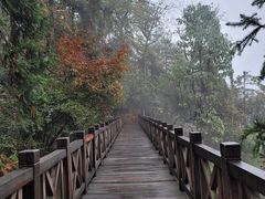 -滴水洞景区