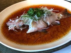 -苏浙总会(国金中心店)