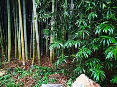 -杭州植物园