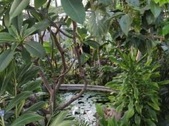 -北京植物园-展览温室