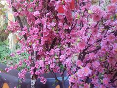 -北京欢乐谷