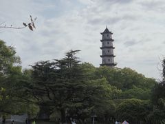 -江心屿景区