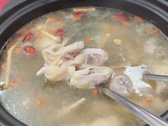 -花苑美食横琴生蚝火锅(拱北粤华路店)