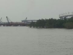 -宝安西湾红树林湿地公园