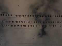 -万达广场(太原街店)