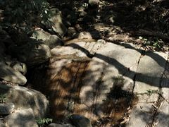 -火炉山森林公园