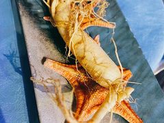 鲜人参锅底-千岛蚝高压锅生蚝·人参火锅(白云万达店)