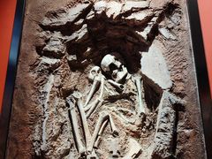 -迪庆藏族自治州博物馆