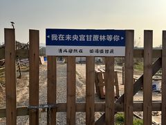 -汉长安城未央宫国家考古遗址公园