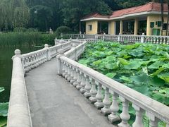 -绵阳人民公园(涪城区)