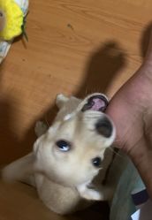 -极昼美黑24H日晒沙龙