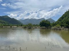 -大九湖